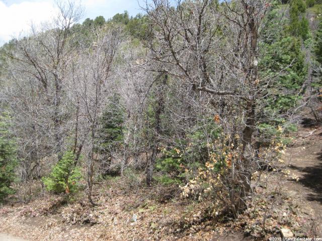 27 Acres #A27, Mt Pleasant, UT 84647 — photo 7