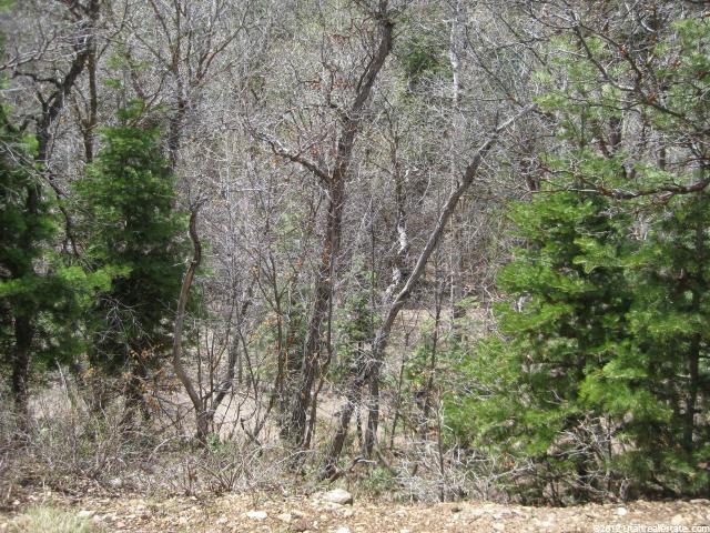 27 Acres #A27, Mt Pleasant, UT 84647 — photo 8