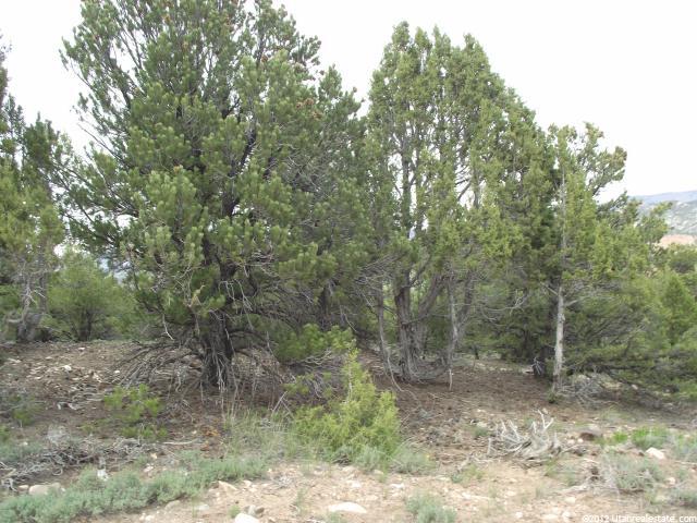 Tabiona, UT 84072 — photo 4