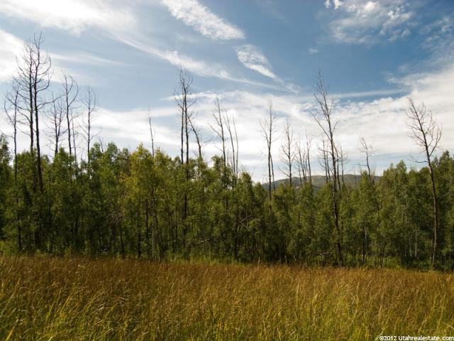 684 Pine Mountain #684, Oakley, UT 84055 — photo 2