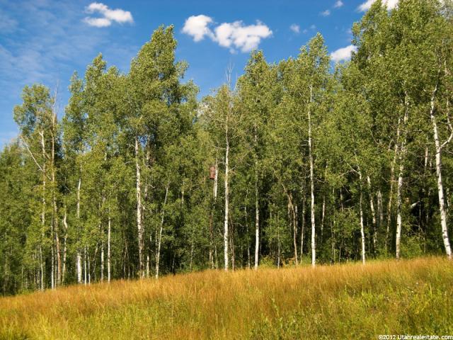 684 Pine Mountain #684, Oakley, UT 84055 — photo 12