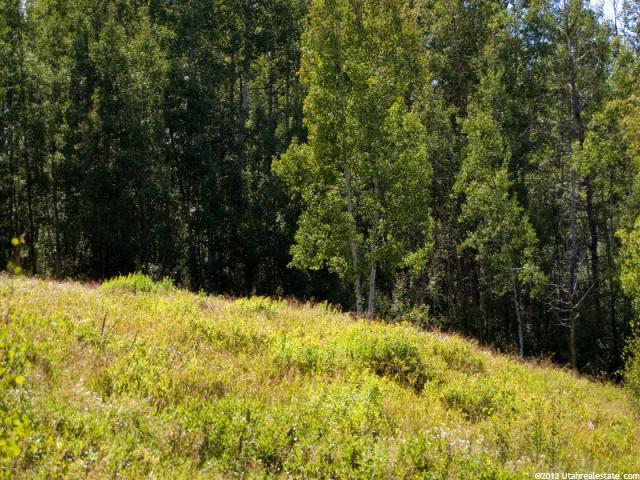 684 Pine Mountain #684, Oakley, UT 84055 — photo 7