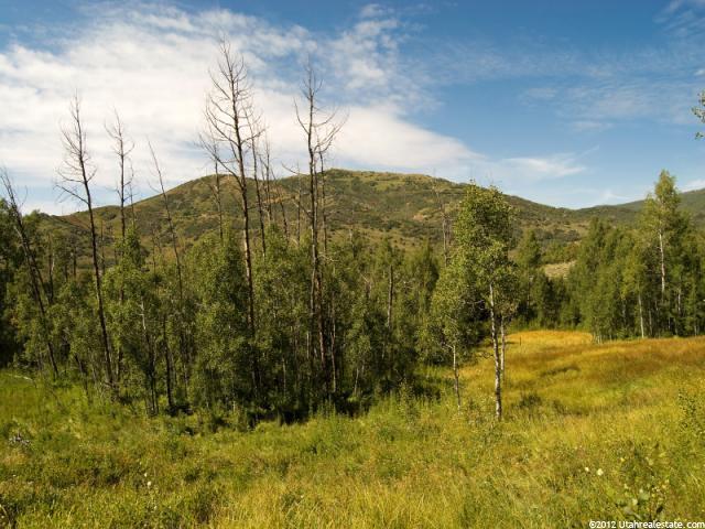 684 Pine Mountain #684, Oakley, UT 84055 — photo 8