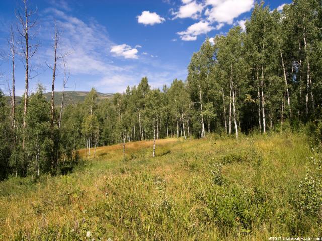 684 Pine Mountain #684, Oakley, UT 84055 — photo 9
