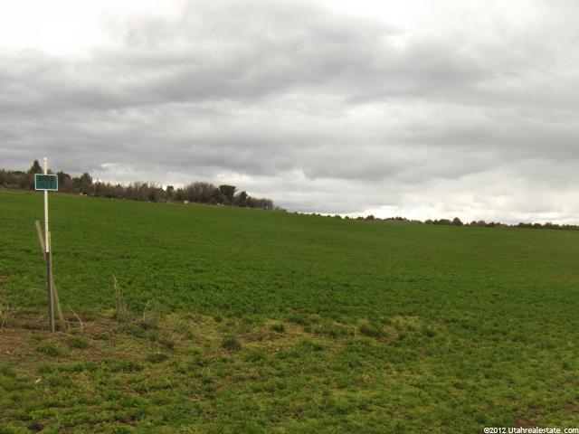 11675 N 950 E #7, Spring City, UT 84662 — photo 4