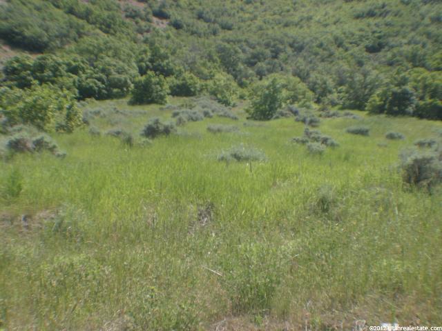 45 N Bountiful E, Bountiful, UT 84010 — photo 7