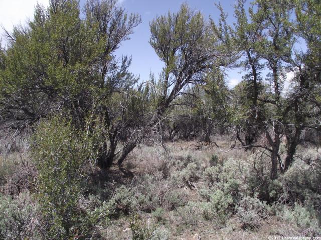 #105, Fruitland, UT 84027 — photo 7