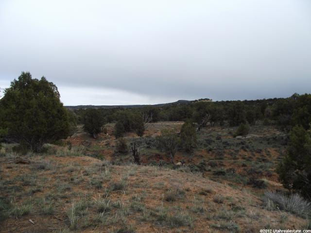 #105, Fruitland, UT 84027 — photo 8