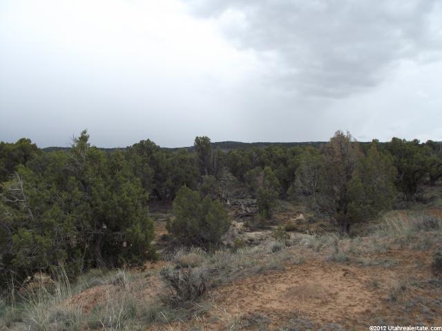 #105, Fruitland, UT 84027 — photo 9