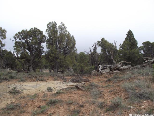 #105, Fruitland, UT 84027 — photo 10