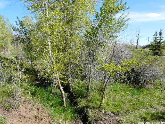 11850 N 22340 E #A31, Fairview, UT 84629 — photo 6