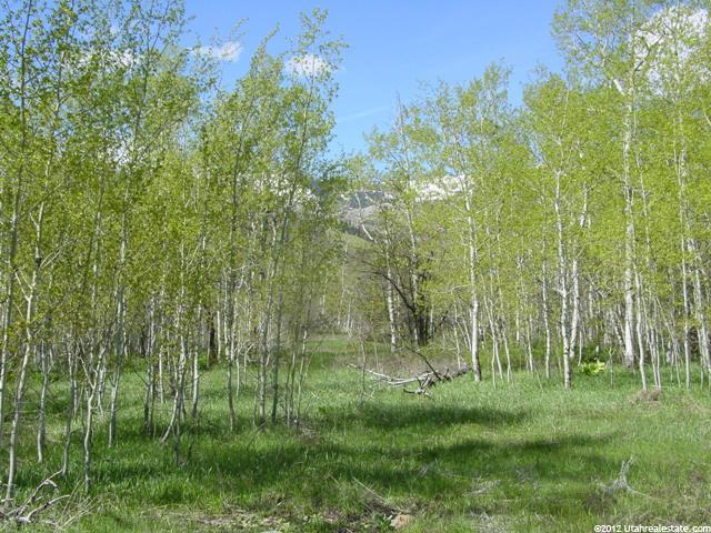 3815 W Two Creeks Ln #4, Snyderville, UT 84098 — photo 5