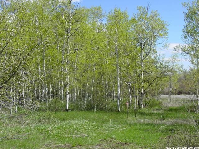 3815 W Two Creeks Ln #4, Snyderville, UT 84098 — photo 8