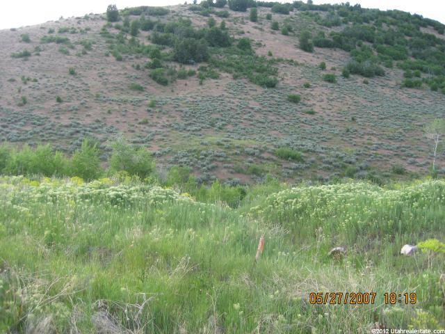 1015 N Maple St E, Huntsville, UT 84317 — photo 2
