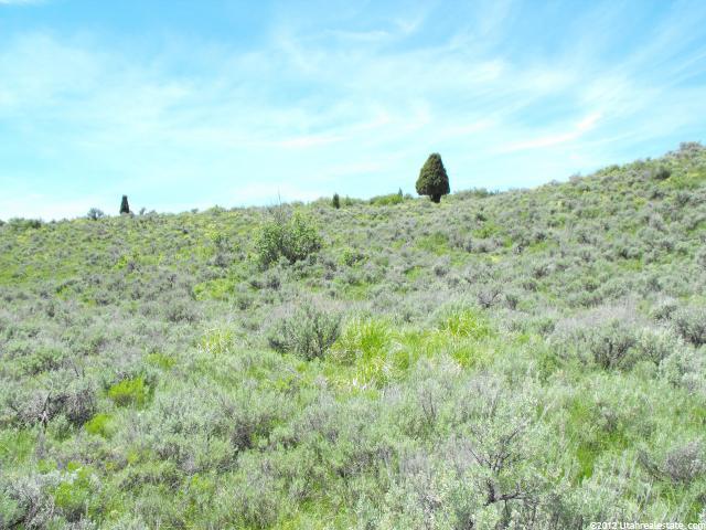 Georgetown, ID 83239 — photo 11