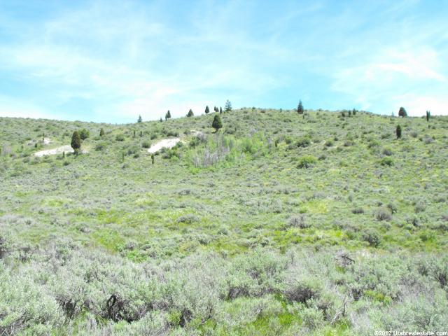 Georgetown, ID 83239 — photo 7