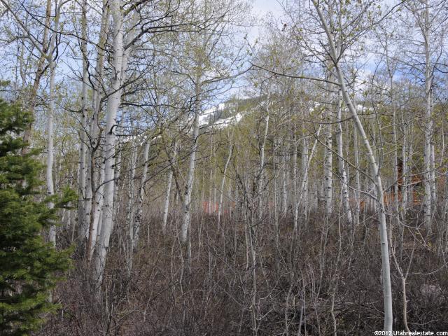 22 Uncompangre N #22, Oakley, UT 84055 — photo 2