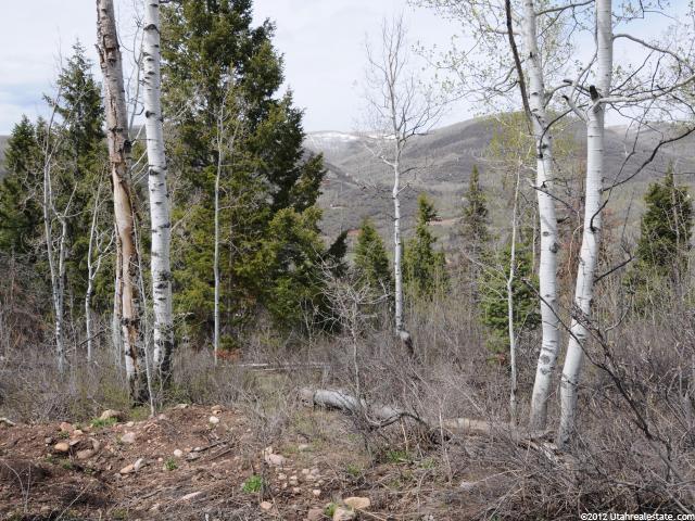 22 Uncompangre N #22, Oakley, UT 84055 — photo 3