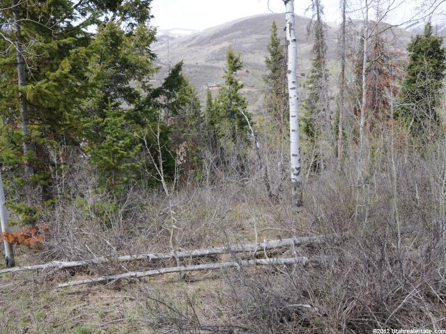 22 Uncompangre N #22, Oakley, UT 84055 — photo 4