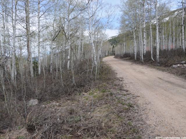 22 Uncompangre N #22, Oakley, UT 84055 — photo 5