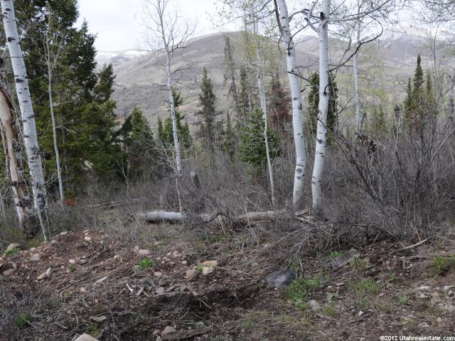 22 Uncompangre N #22, Oakley, UT 84055 — photo 6
