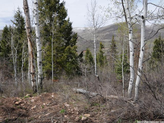22 Uncompangre N #22, Oakley, UT 84055 — photo 8