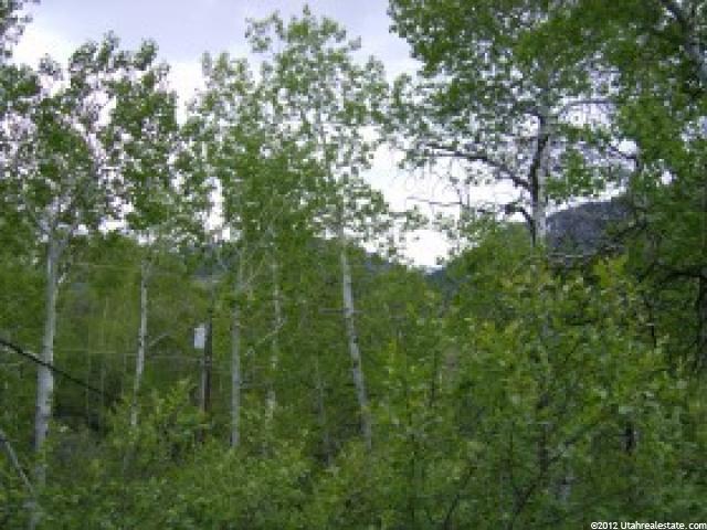 145 Creek Rd, Oakley, UT 84055 — photo 2