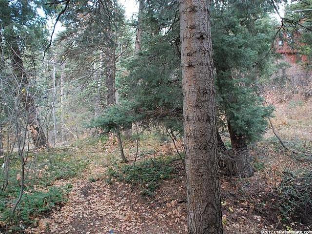 460 Parkview Dr, Park City, UT 84098 — photo 7