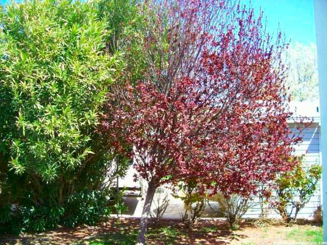 2990 E Riverside Dr S #56, St. George, UT 84790 — photo 11