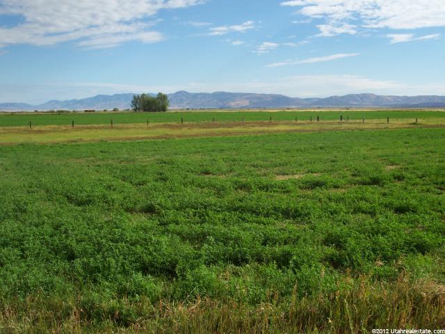 398 Mattson Ln, Bloomington, ID 83223 — photo 2
