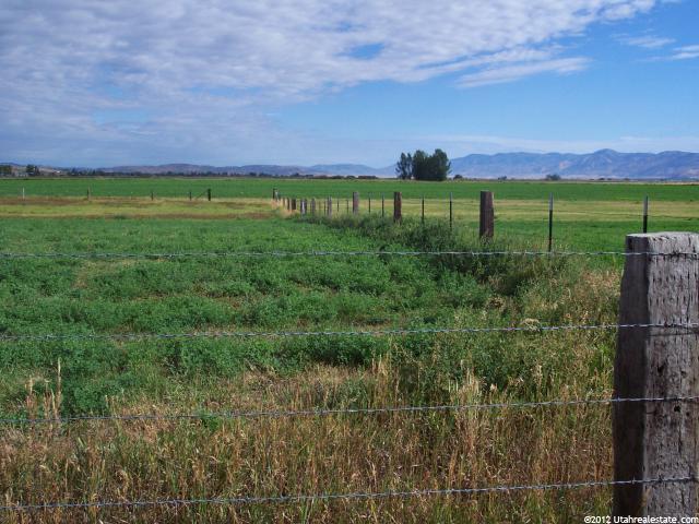 398 Mattson Ln, Bloomington, ID 83223 — photo 4