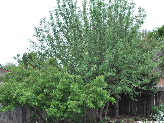 884 E Chariot Dr, Sandy, UT 84094 — photo 9