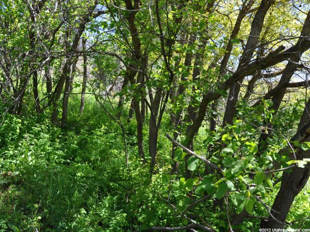 5 Carson Ln W, Oakley, UT 84055 — photo 11