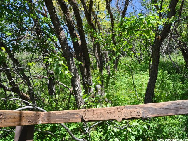 5 Carson Ln W, Oakley, UT 84055 — photo 6