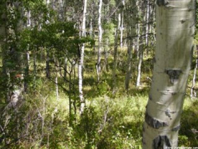 #60, Heber City, UT 84032 — photo 3