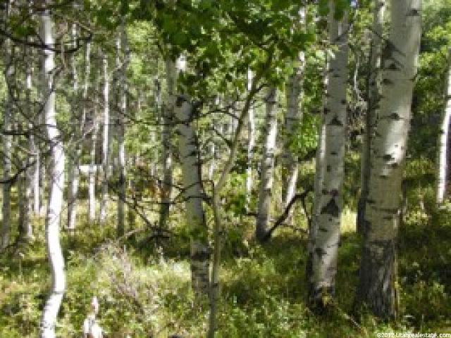#60, Heber City, UT 84032 — photo 4