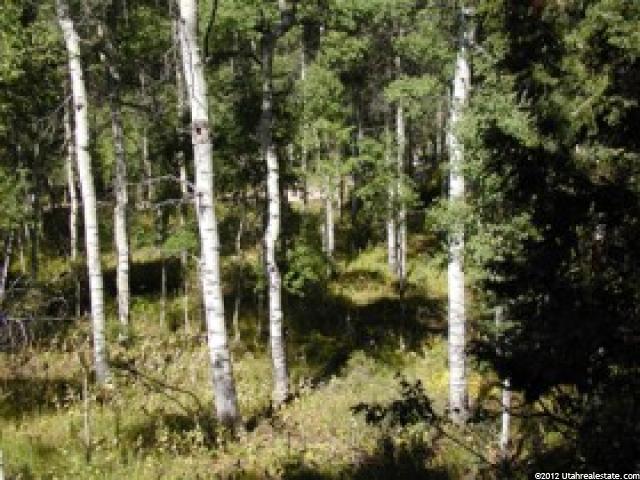 #60, Heber City, UT 84032 — photo 6