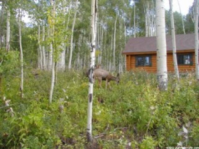 #60, Heber City, UT 84032 — photo 9