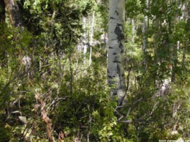 #61, Heber City, UT 84032 — photo 2