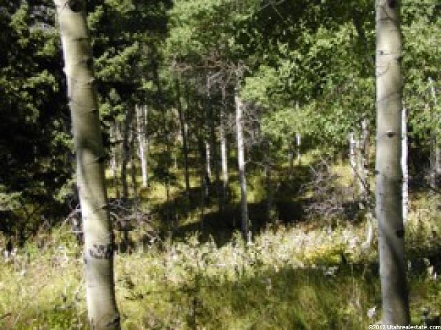 #61, Heber City, UT 84032 — photo 8