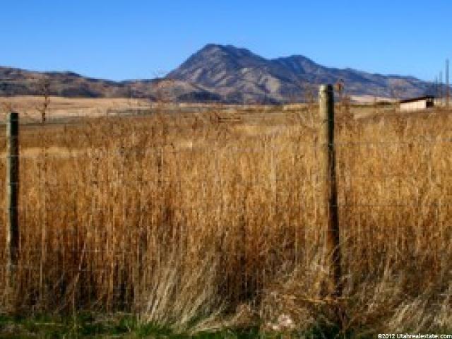 7687 N Hwy 142 W, Newton, UT 84327 — photo 5