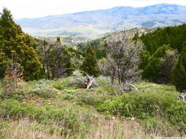 #8, Lava Hot Springs, ID 83246 — photo 7