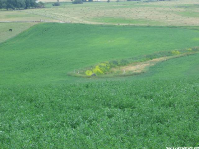 Grace, ID 83241 — photo 4