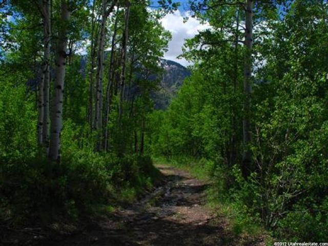 2 River Rd, Oakley, UT 84055 — photo 5