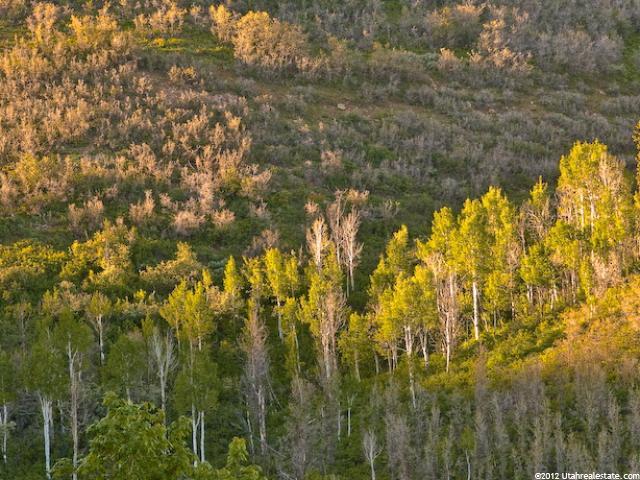 22 Stagecoach, Snyderville, UT 84098 — photo 9