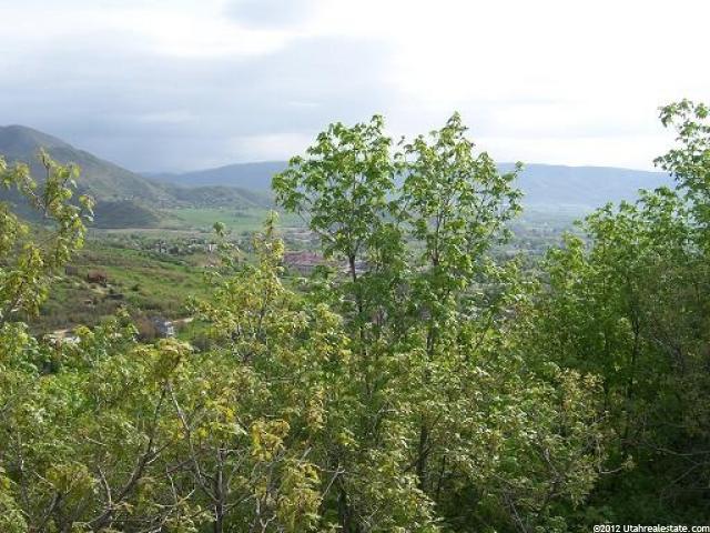 152 Switzer St #152, Midway, UT 84049 — photo 6
