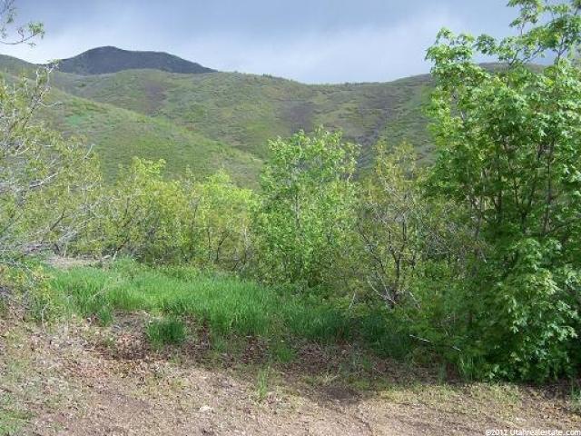 152 Switzer St #152, Midway, UT 84049 — photo 7