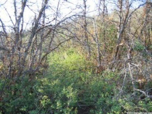1467 #1467, Heber City, UT 84032 — photo 2