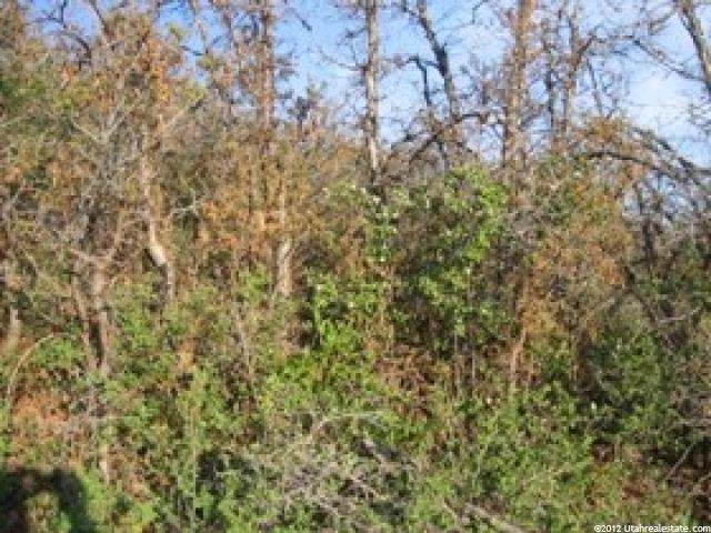 1467 #1467, Heber City, UT 84032 — photo 3