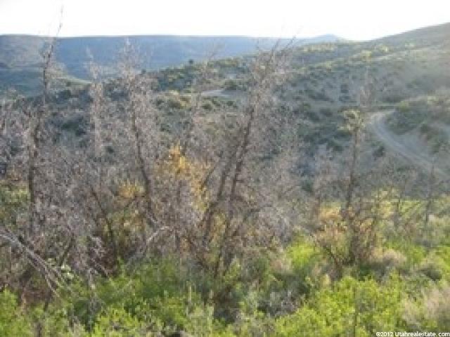 1467 #1467, Heber City, UT 84032 — photo 6